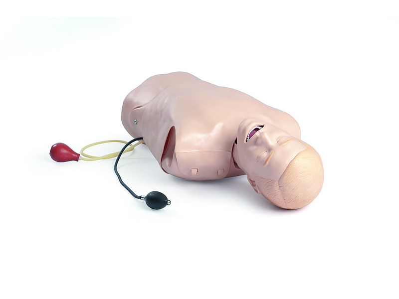 Deluxe Difficult Airway Trainer