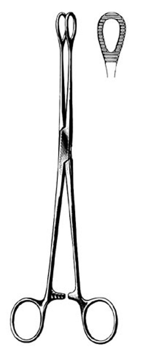 Foerster Sponge Forceps